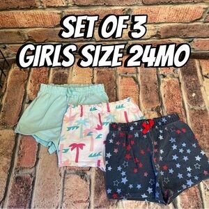 Set of 3 Pairs of Garanimals girls shorts size 24 months